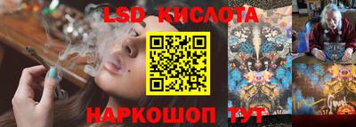 прущие грибы Обь