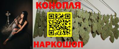 прущие грибы Обь