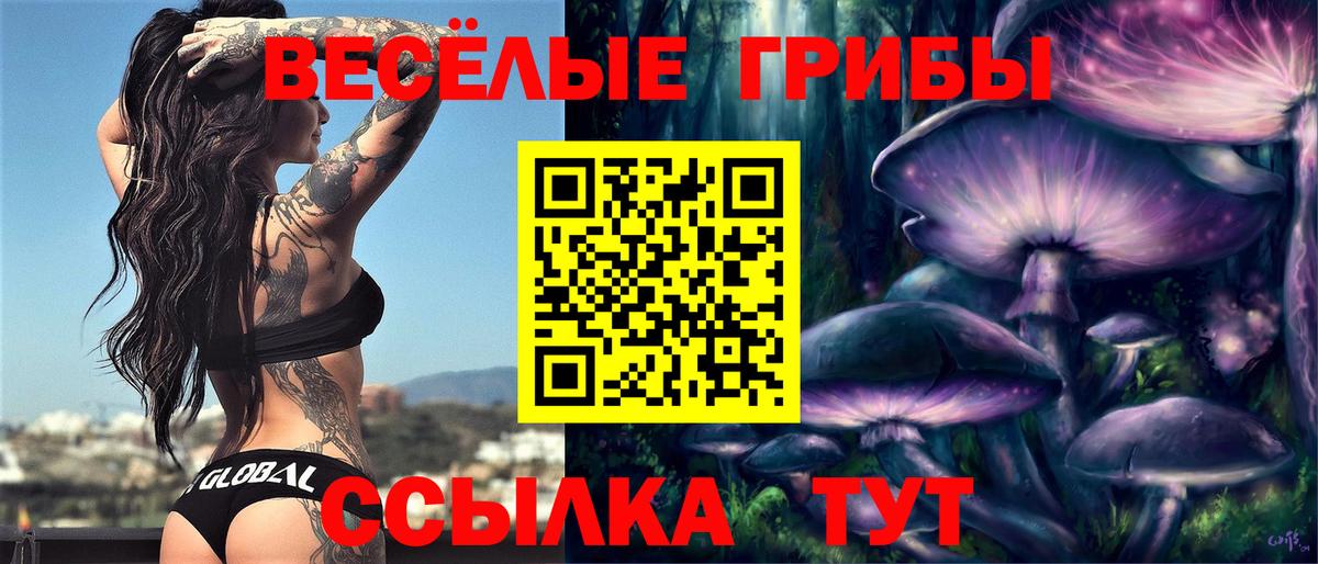 Пенза  Псилоцибиновые грибы GOLDEN TEACHER  Вход с VPN 